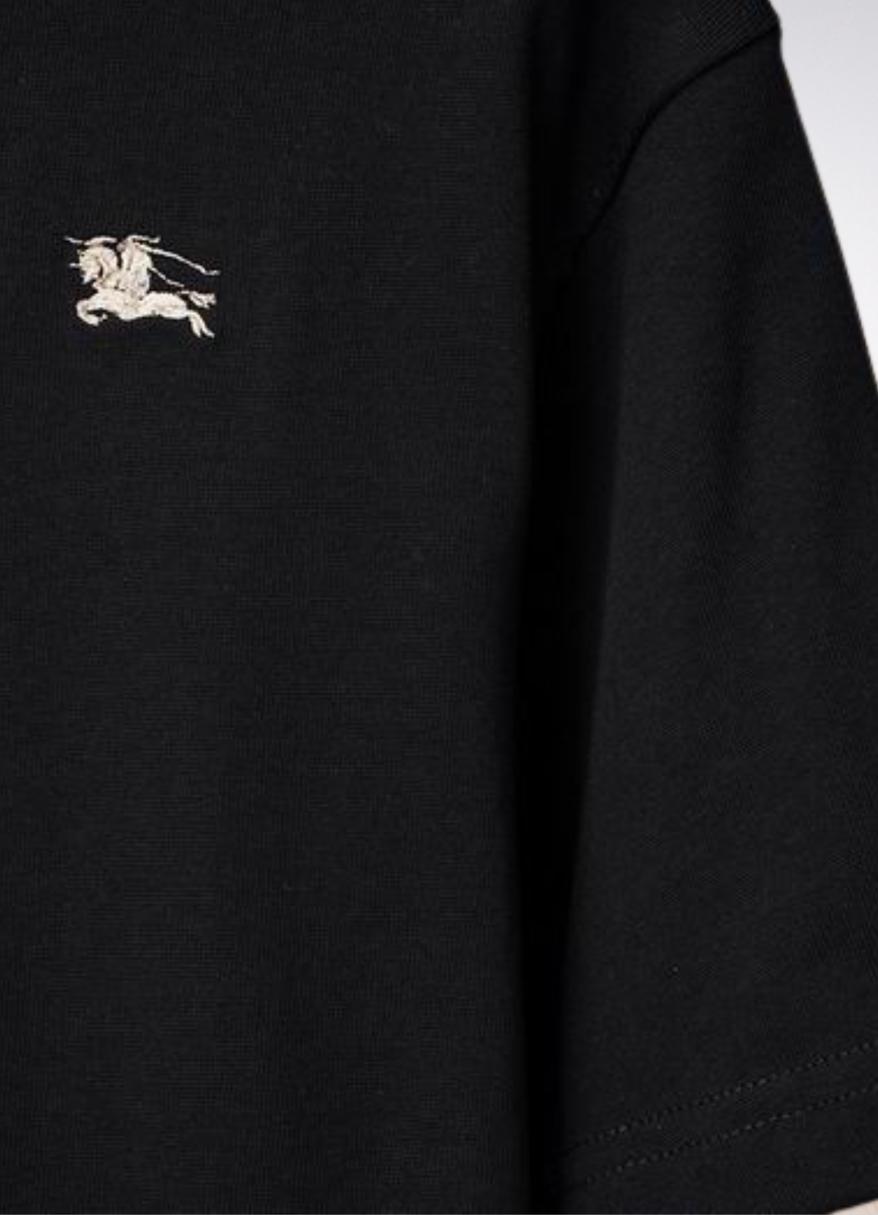 logo embroidery t shirt