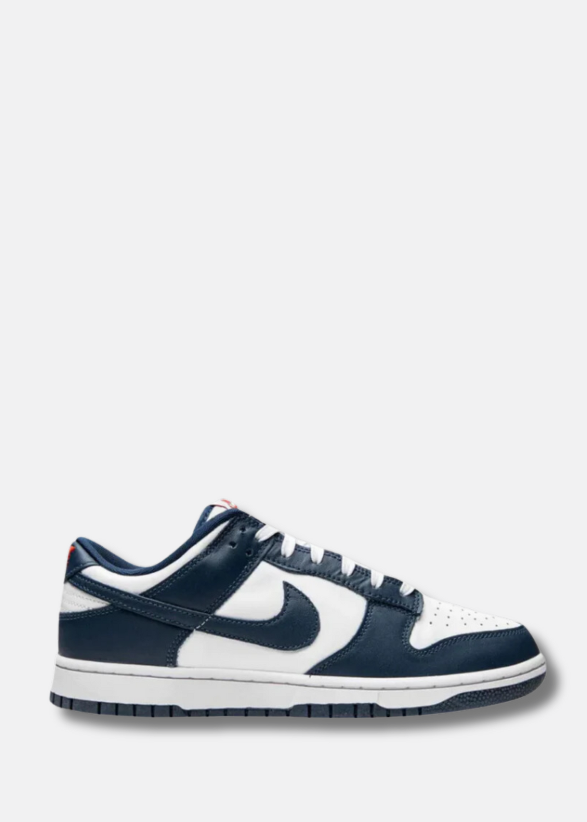 Dunk Low Retro "Valerian Blue"