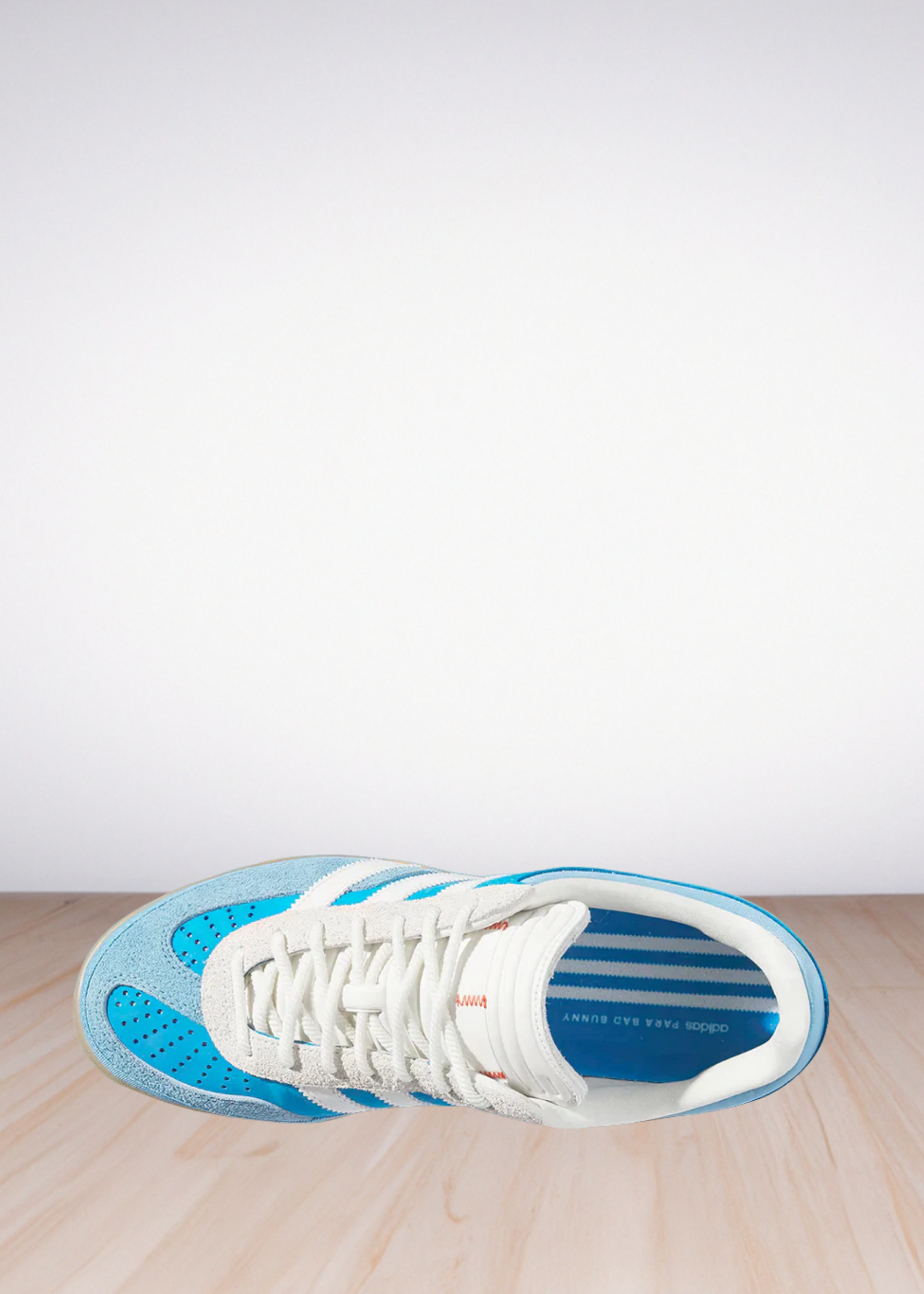 Gazelle Indoor Bad Bunny San Juan