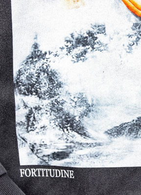 Reborn graphic-print hoodie